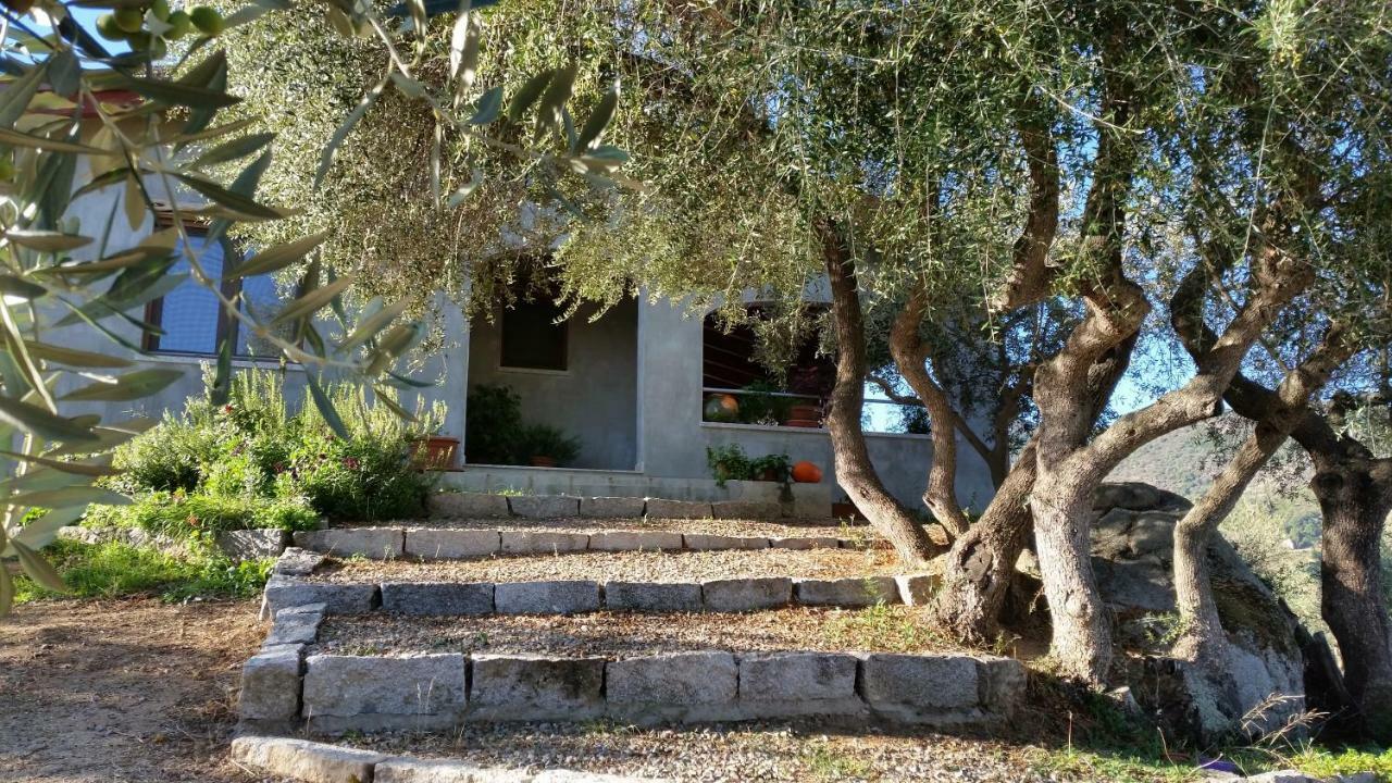 S'Umbra De S'Ozzastru Villa Orgosolo Exterior photo